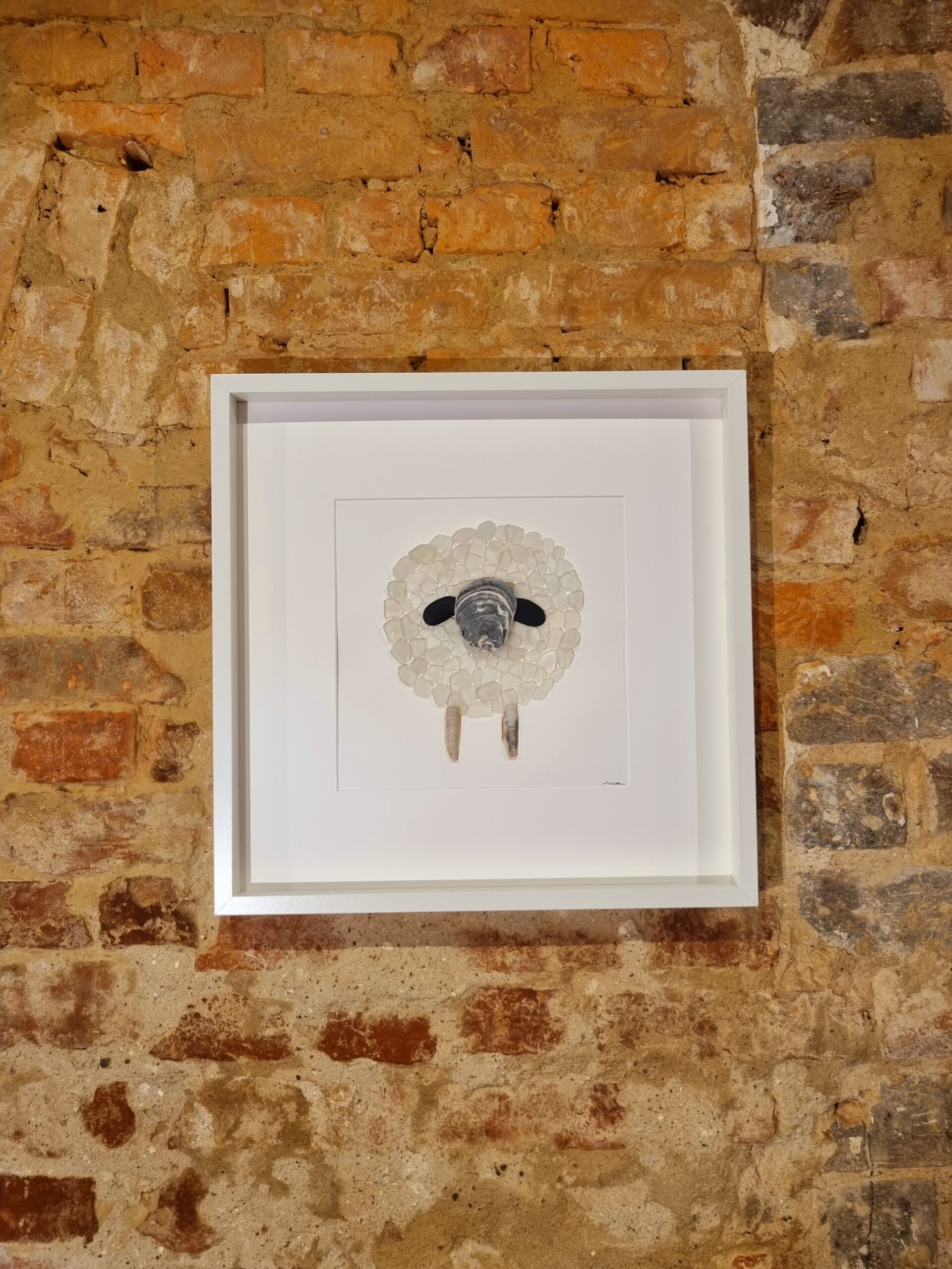 Walliser Schwarznasenschaf (verkauft) – Bild 10