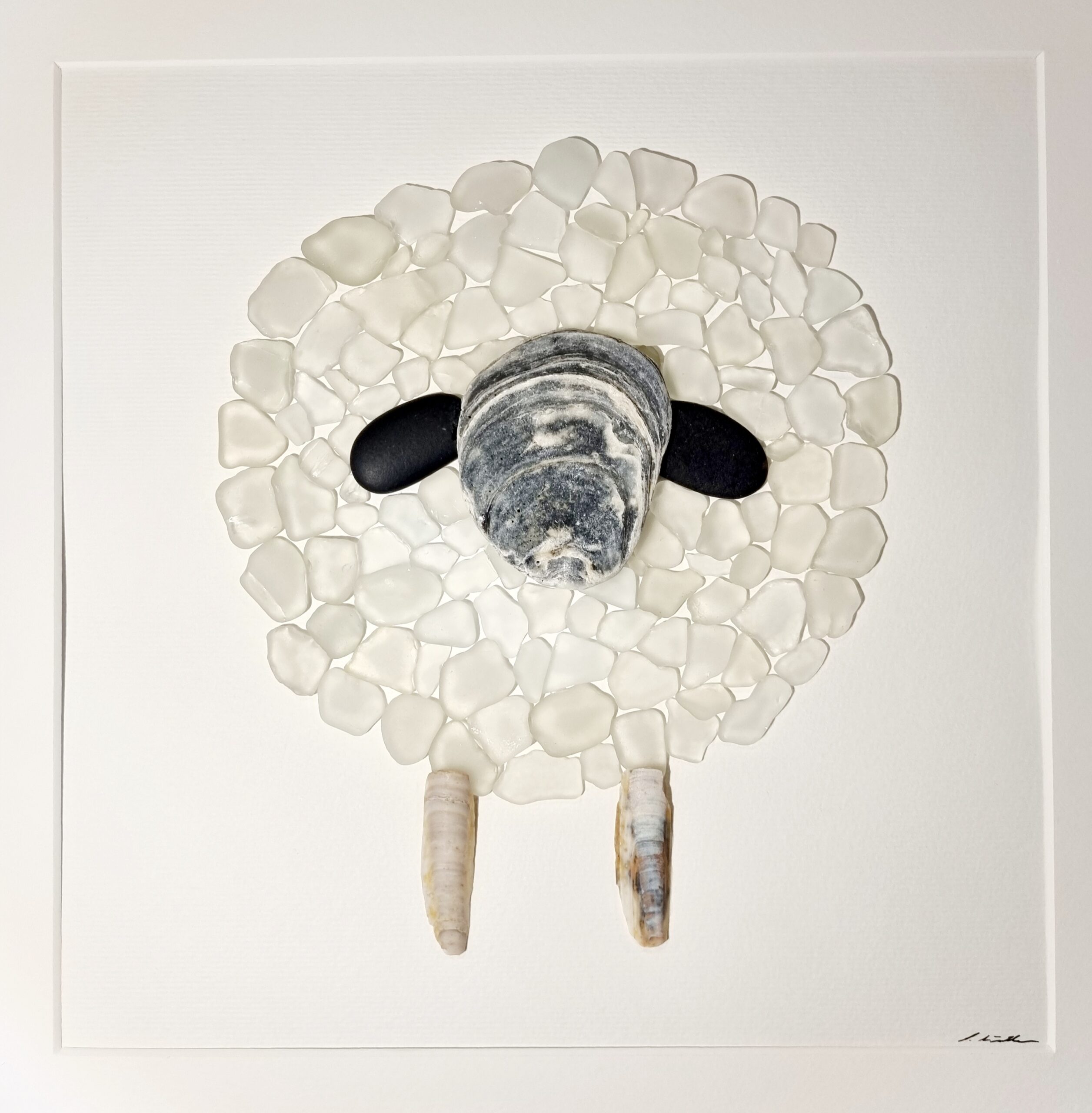 Walliser Schwarznasenschaf (verkauft) – Bild 2