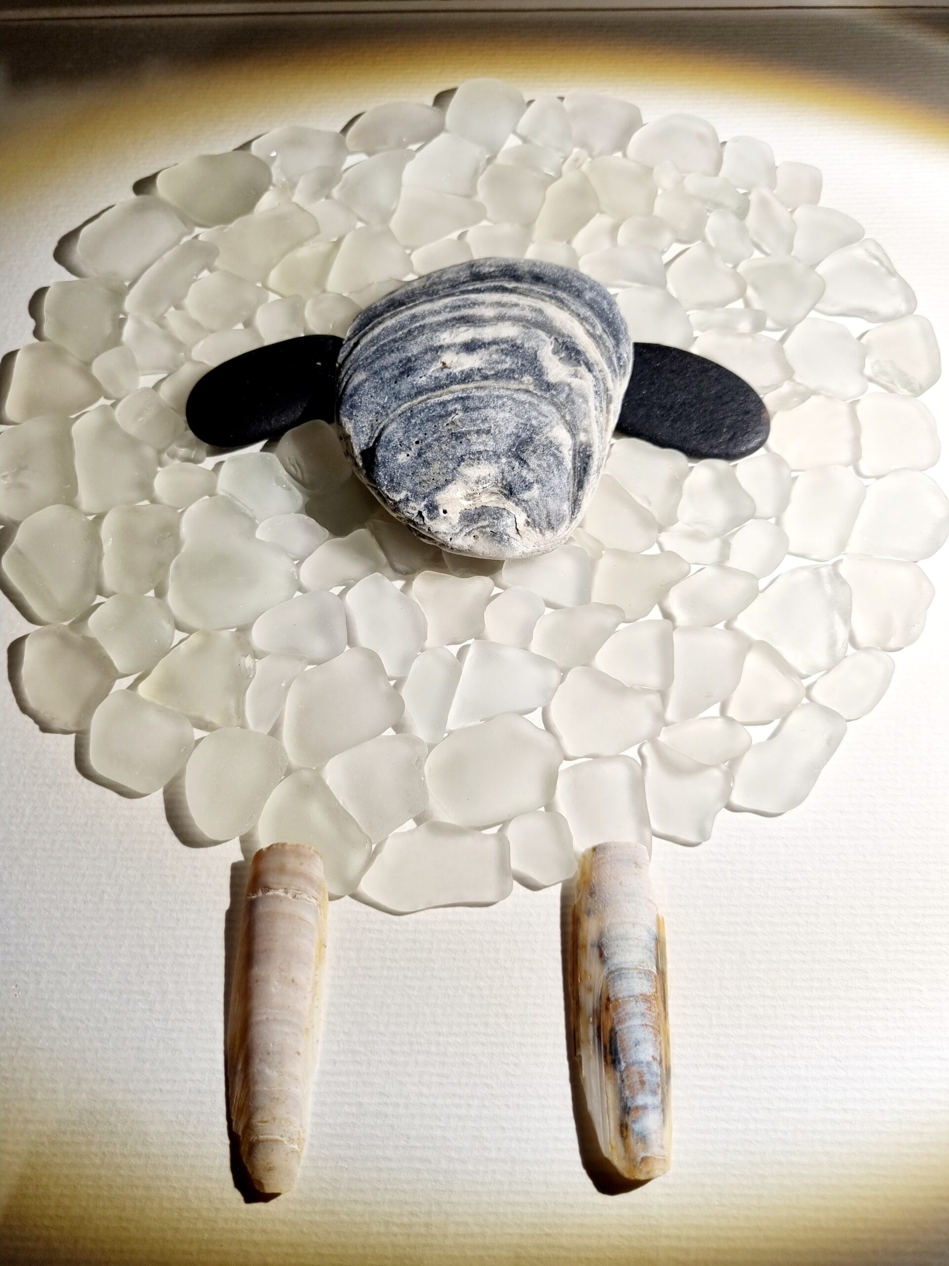 Walliser Schwarznasenschaf (verkauft) – Bild 4