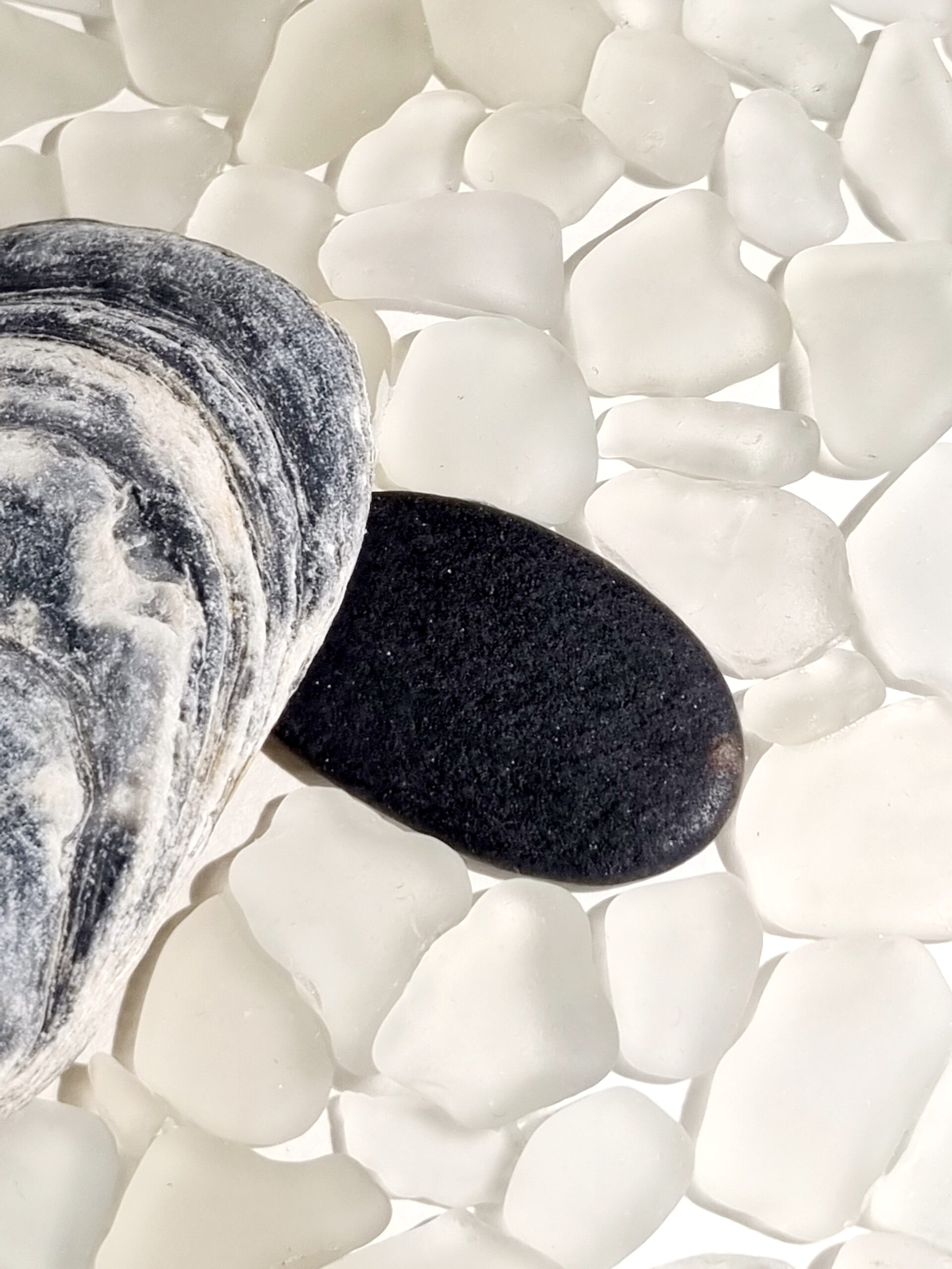 Walliser Schwarznasenschaf (verkauft) – Bild 6