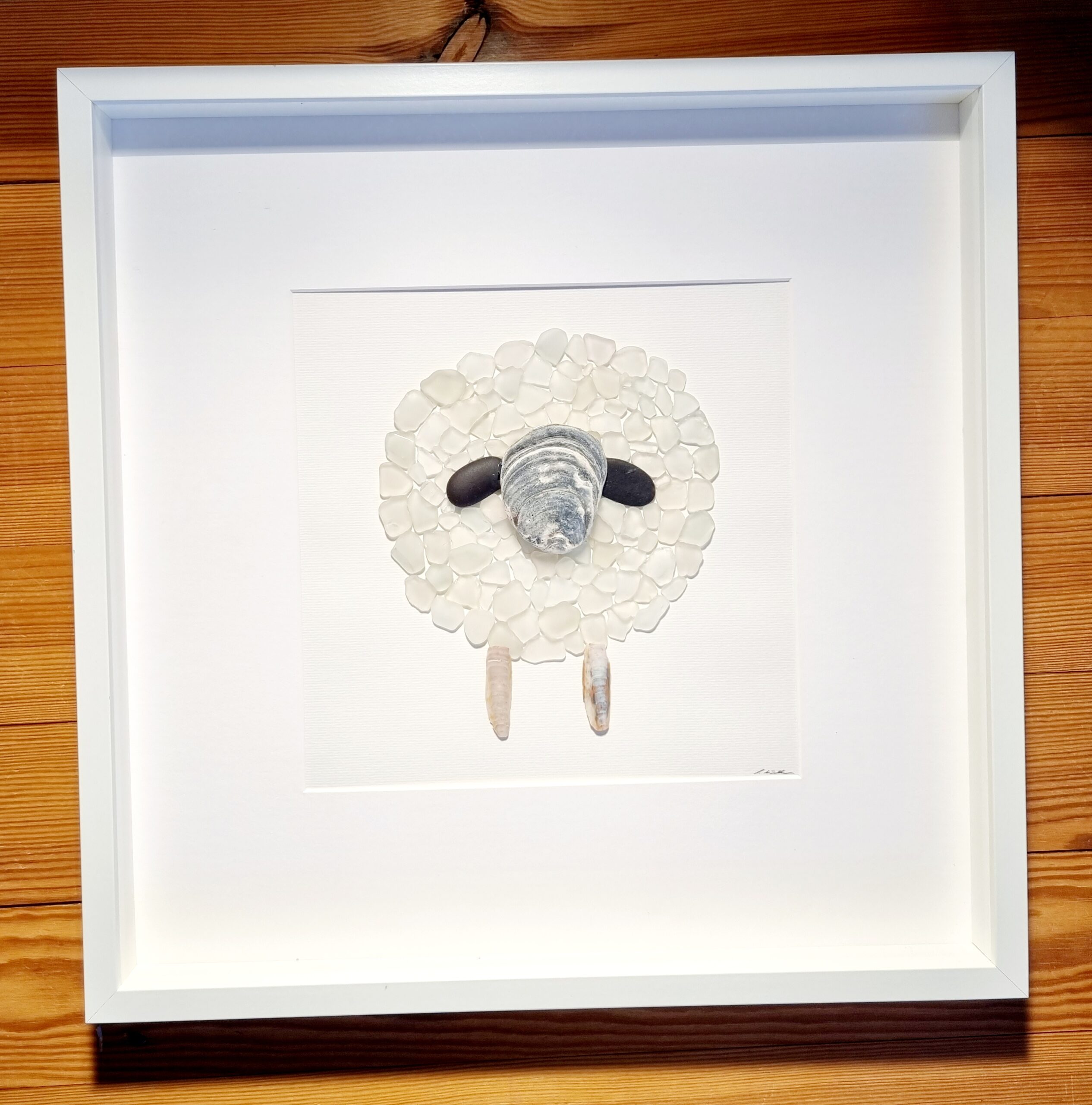 Walliser Schwarznasenschaf (verkauft) – Bild 9