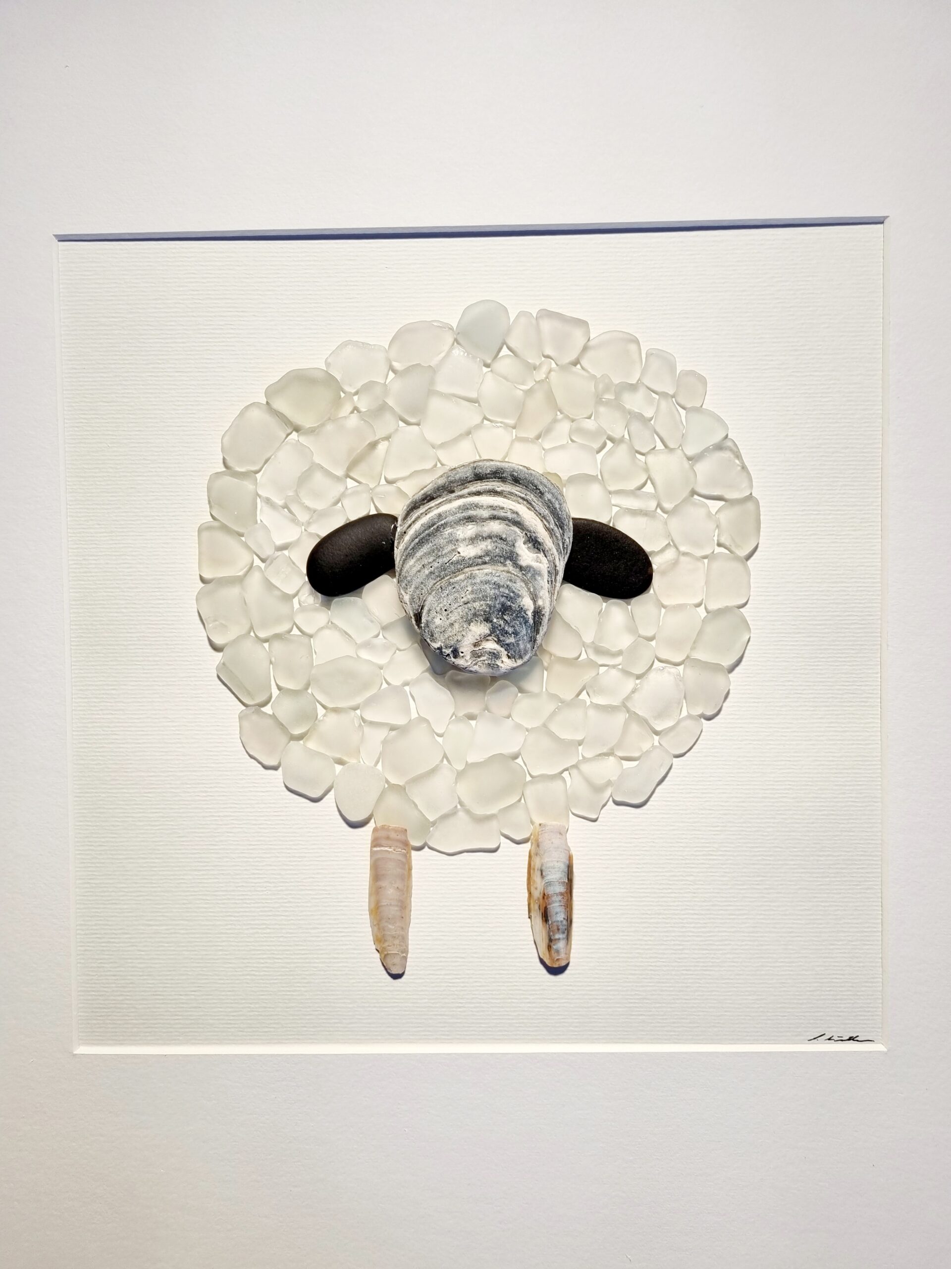 Walliser Schwarznasenschaf (verkauft) – Bild 8