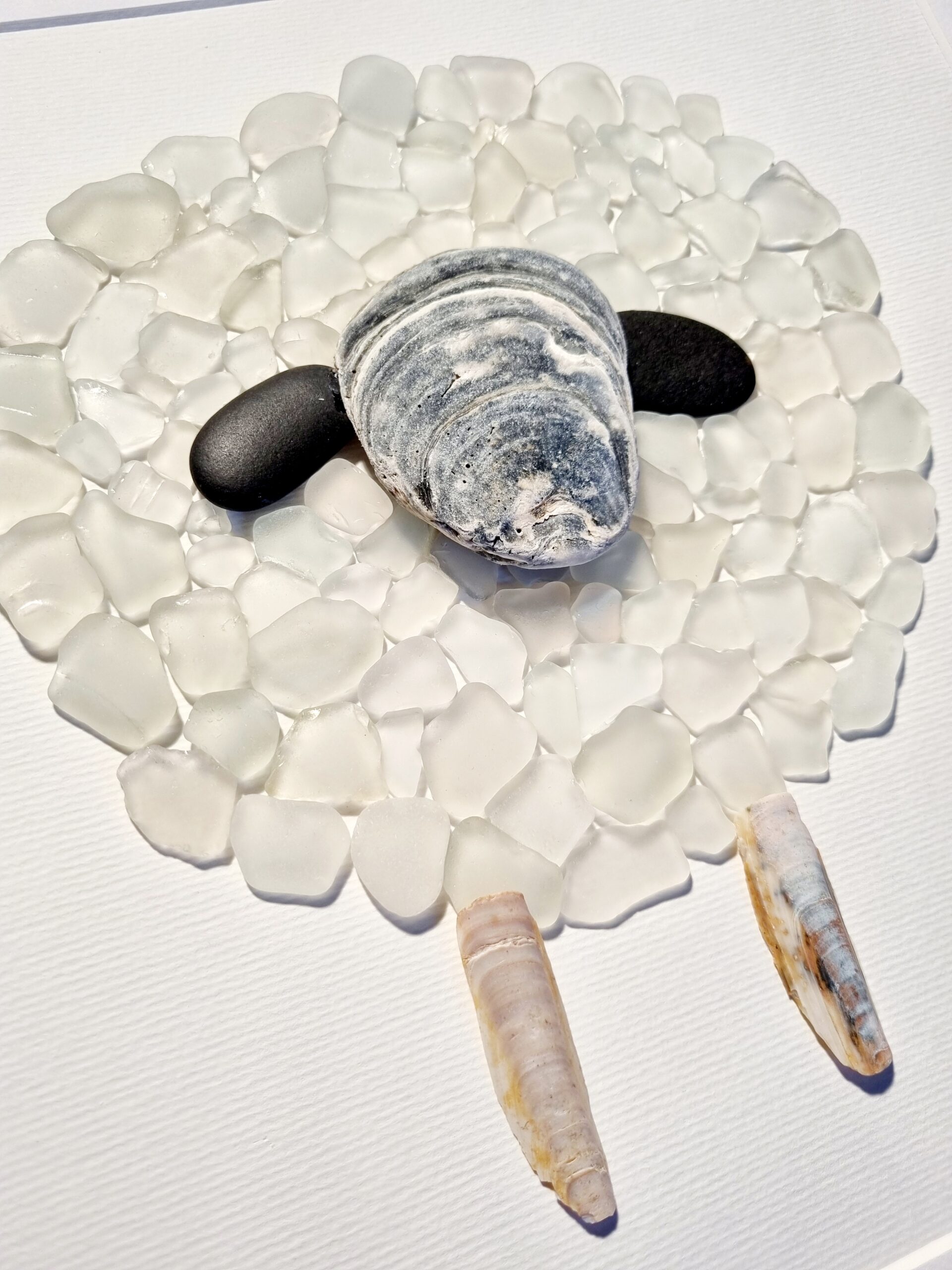 Walliser Schwarznasenschaf (verkauft) – Bild 3