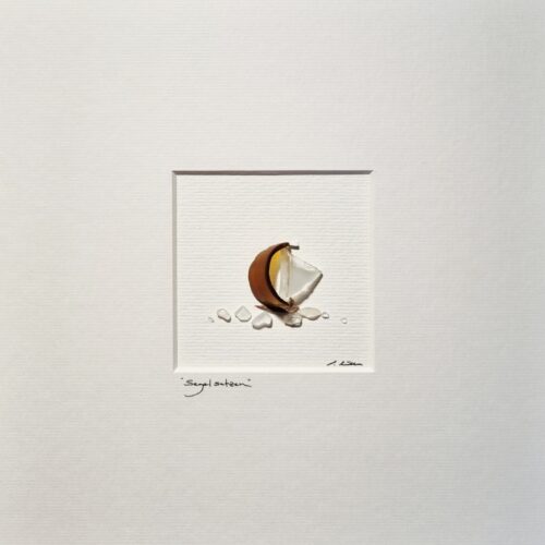 Segel Setzen In Amber/Weiß