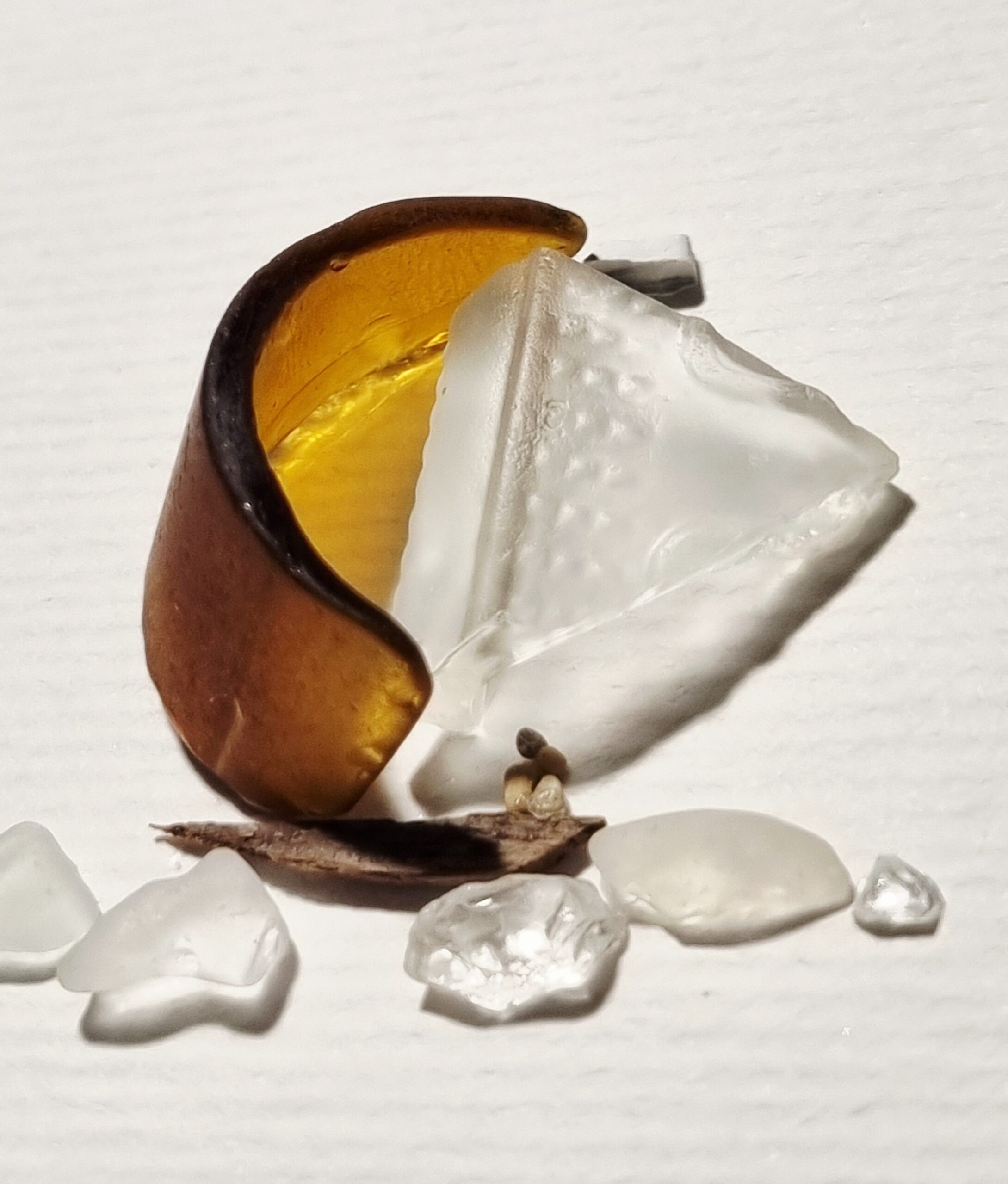 Segel Setzen In Amber/Weiß – Bild 5