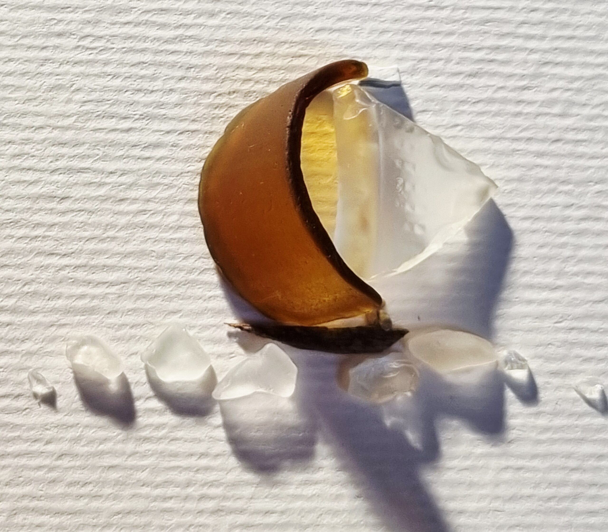 Segel Setzen In Amber/Weiß – Bild 7