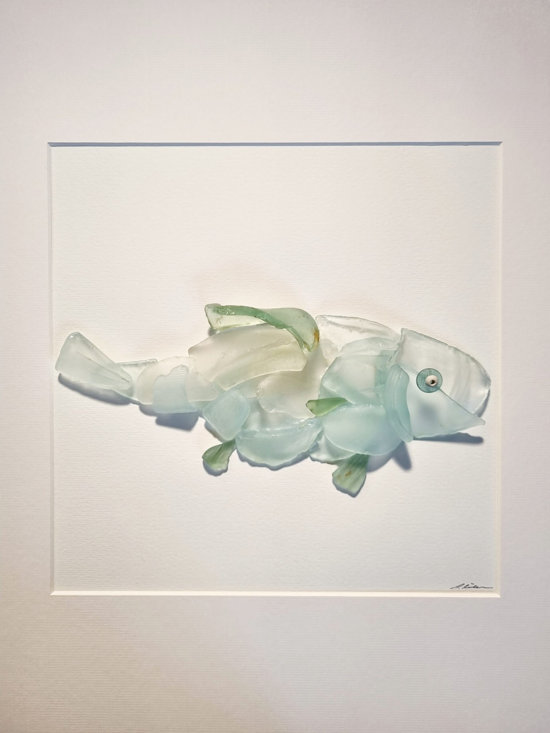 Edel-Schuppenkarpfen – Bild 3