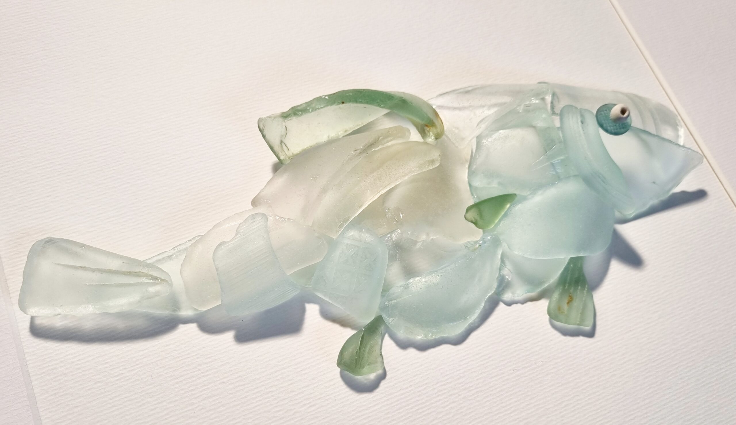 Edel-Schuppenkarpfen – Bild 6