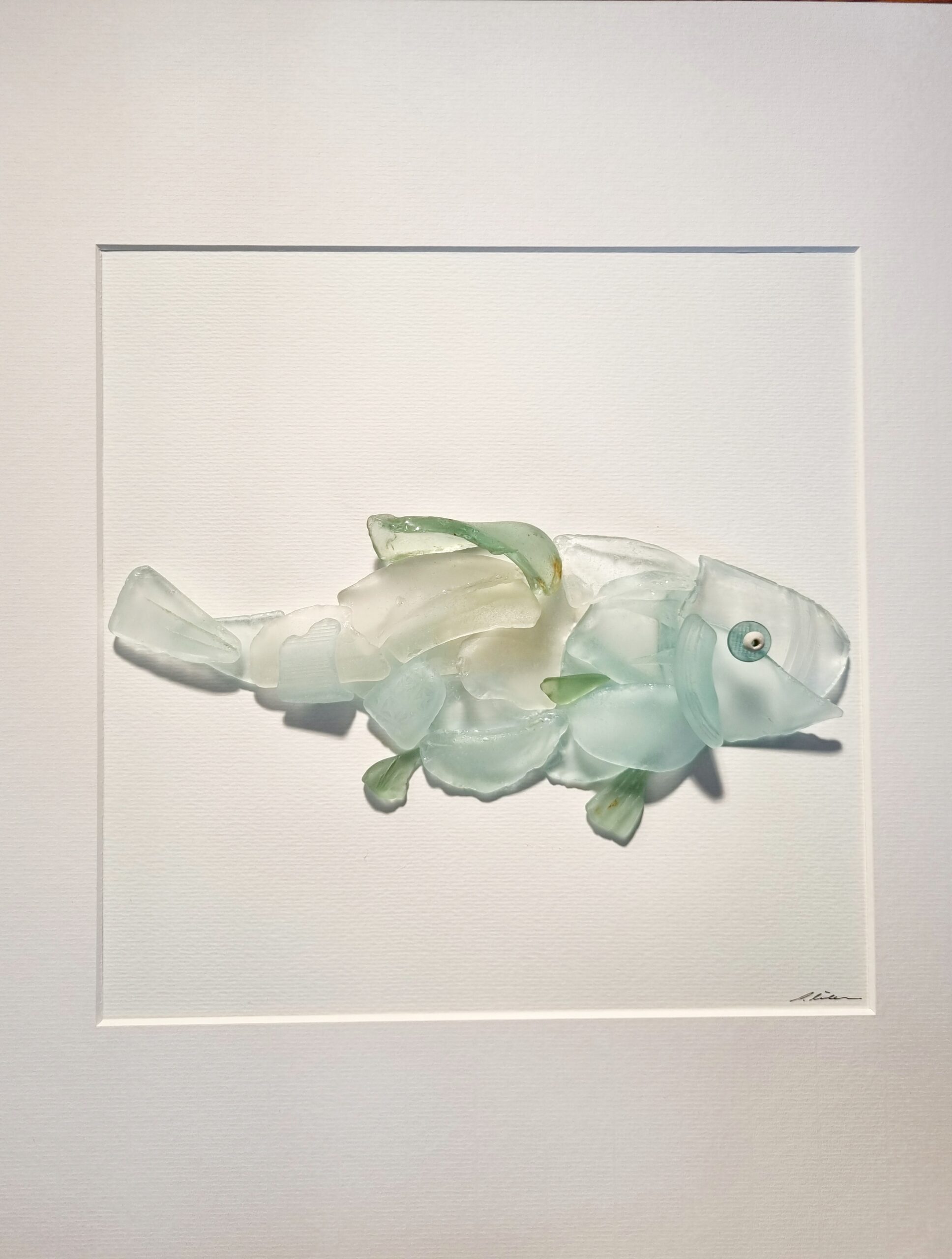 Edel-Schuppenkarpfen – Bild 2