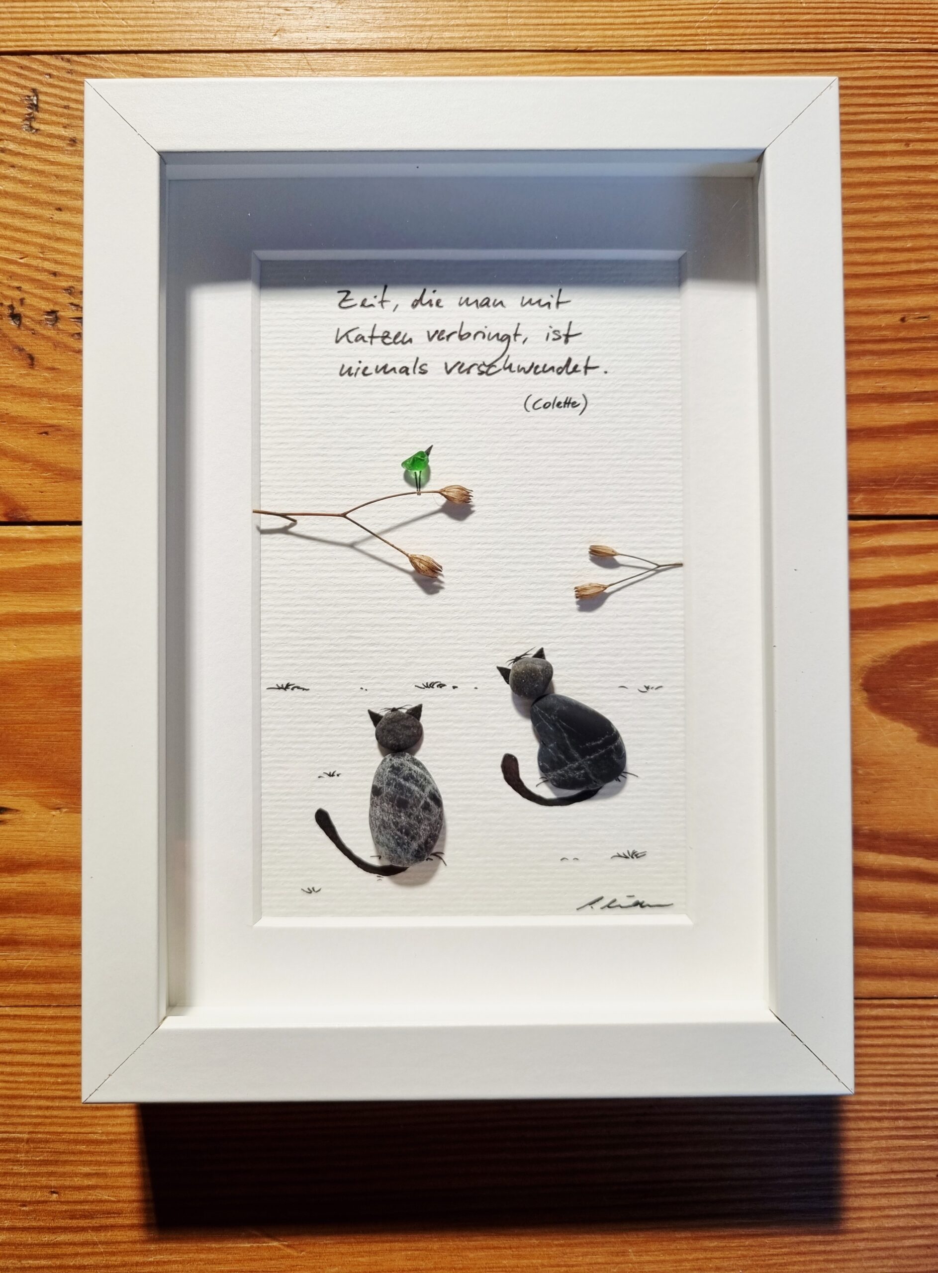 Katzen – Bild 6