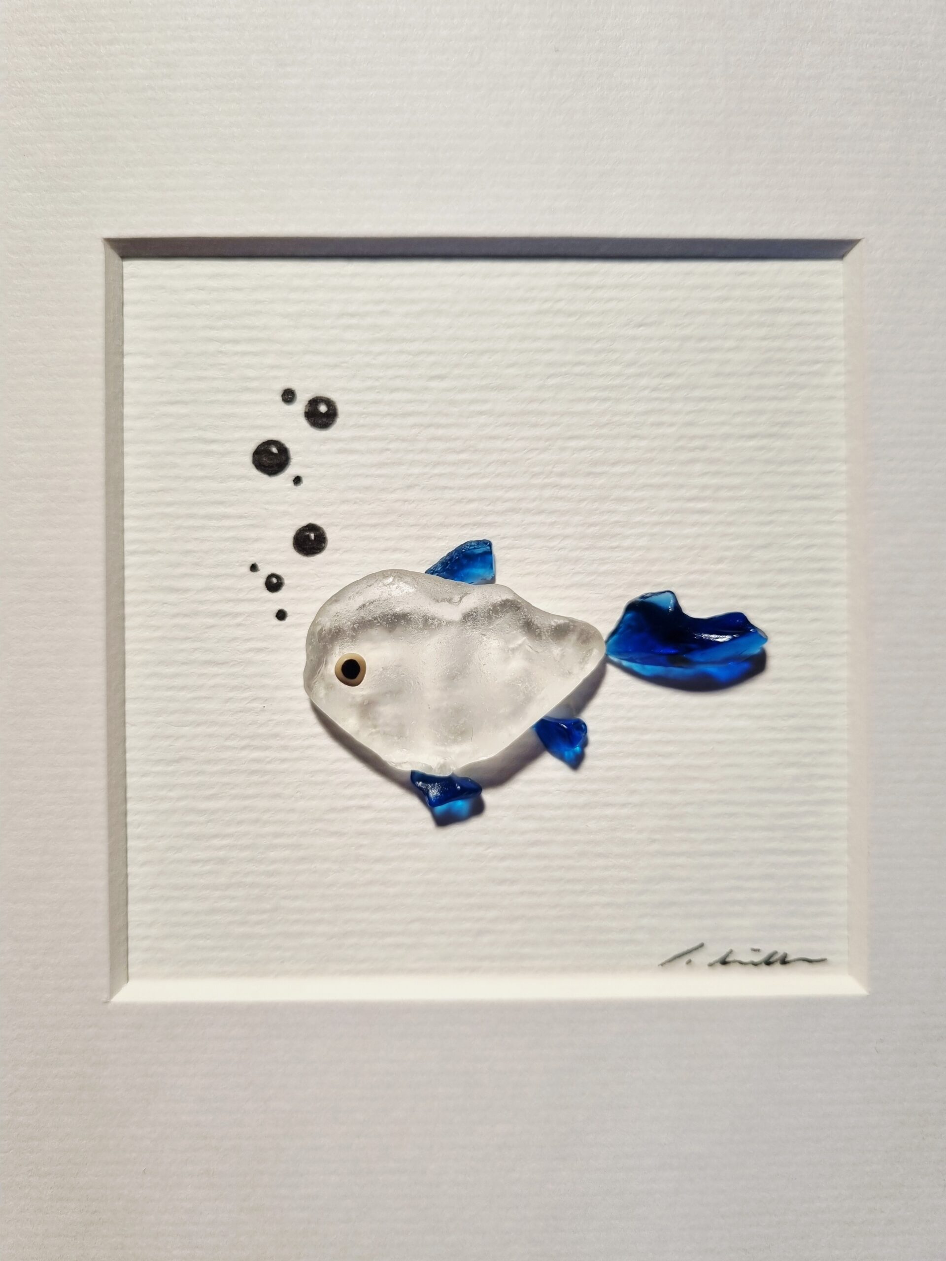 Blauer Doktorfisch – Bild 2