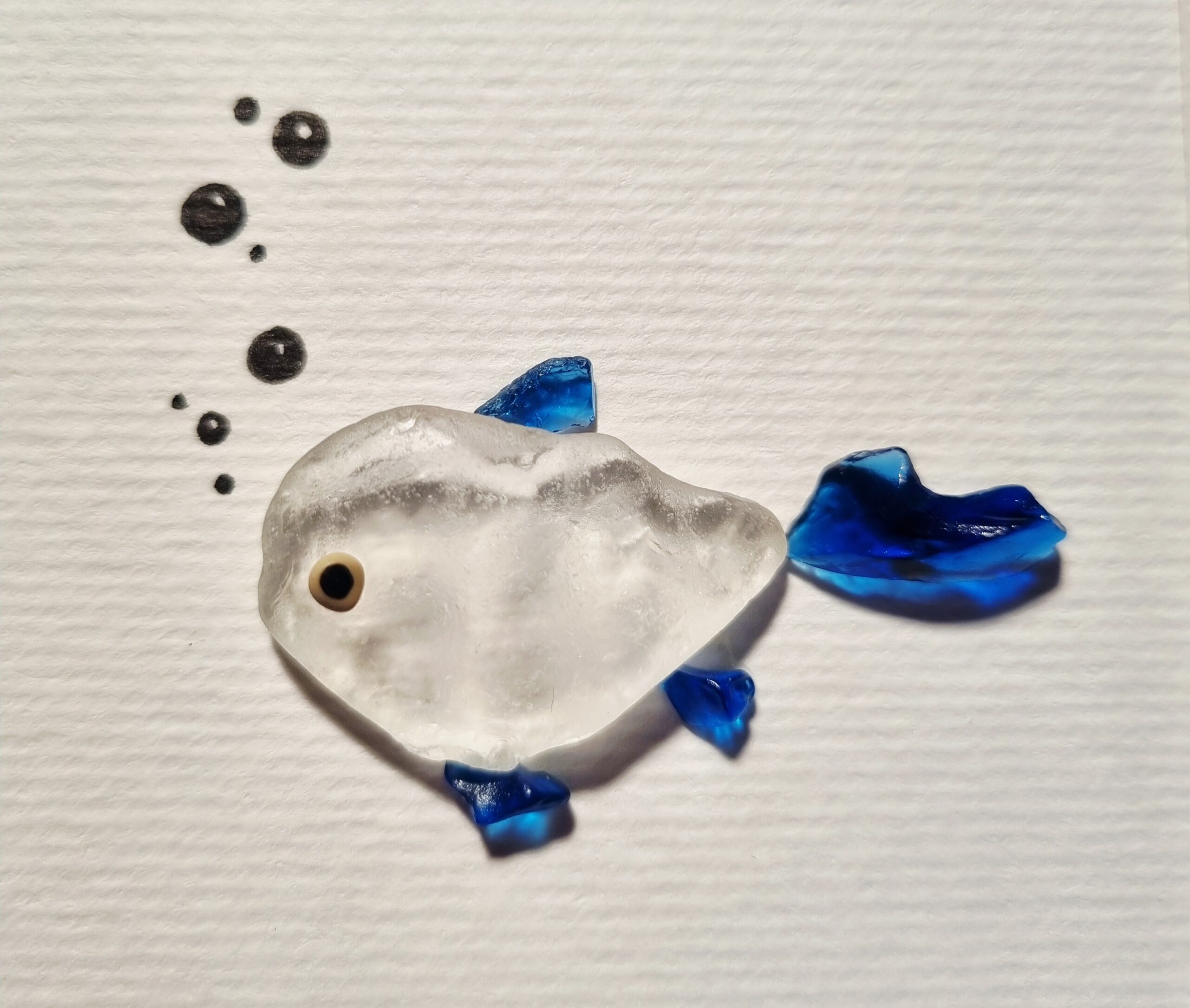 Blauer Doktorfisch – Bild 3