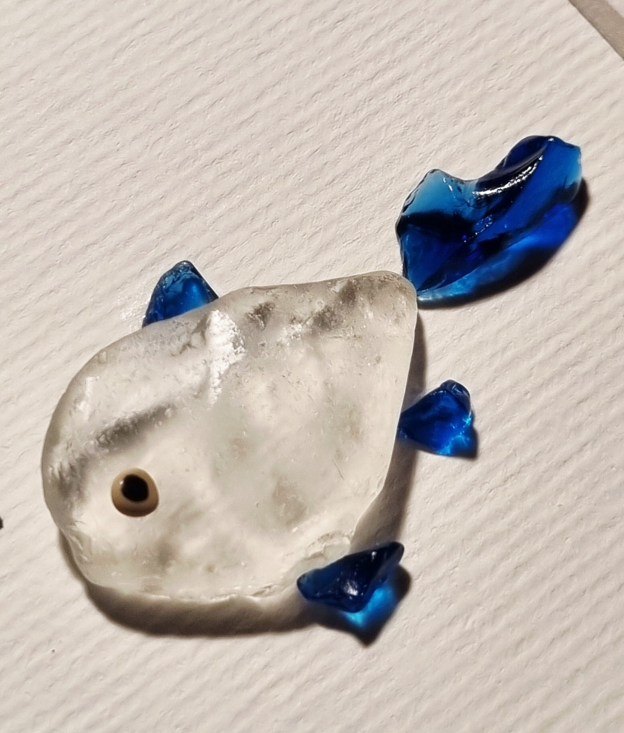 Blauer Doktorfisch – Bild 4