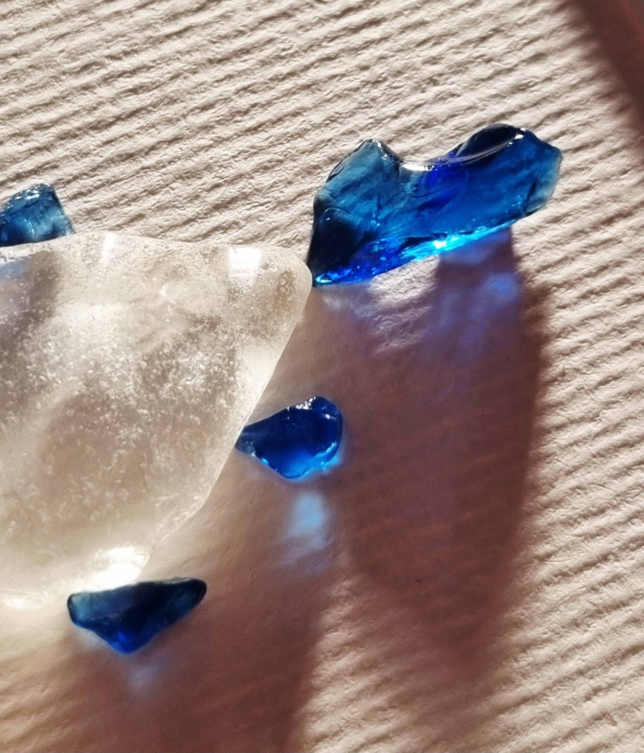 Blauer Doktorfisch – Bild 7