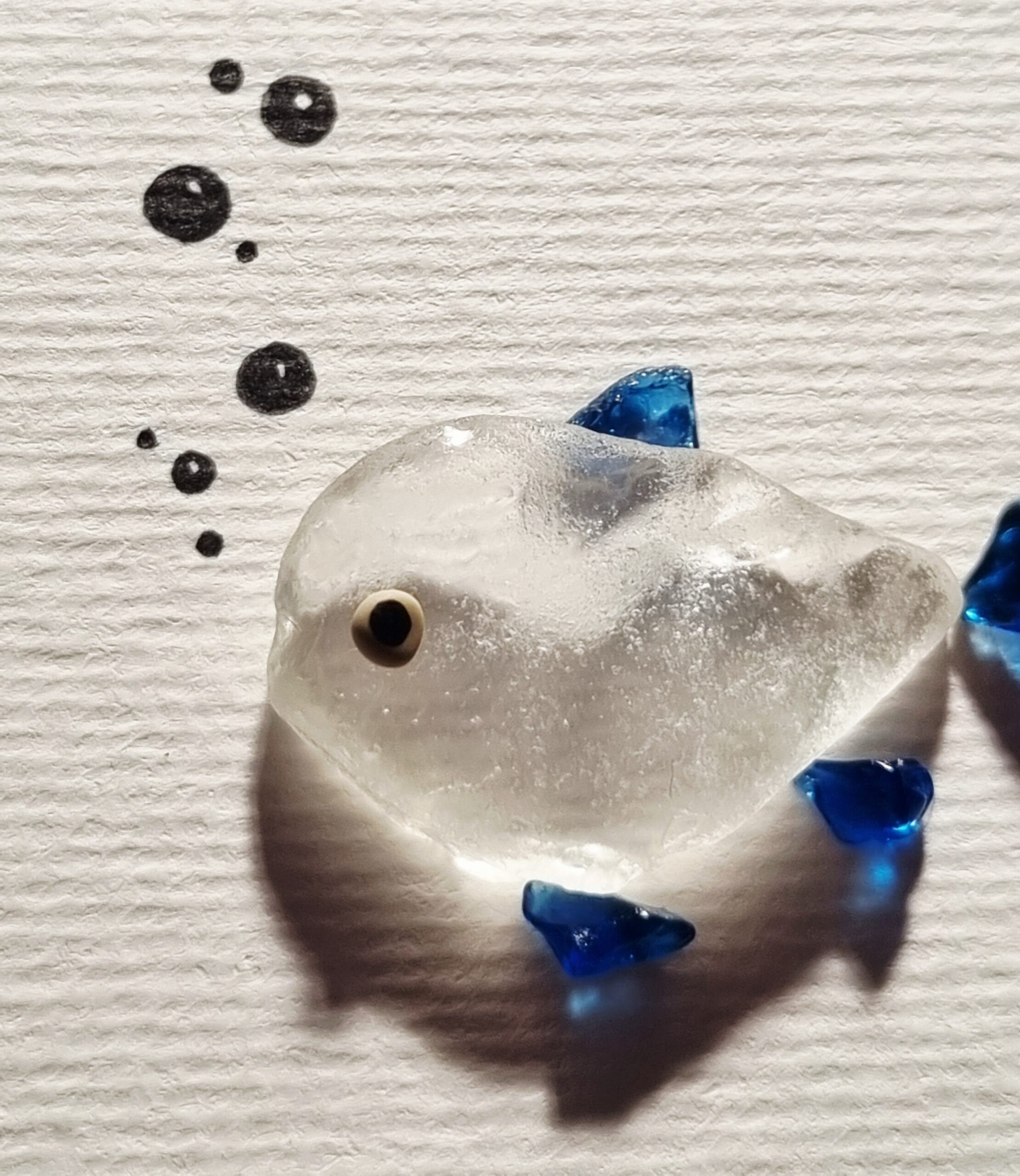 Blauer Doktorfisch – Bild 8