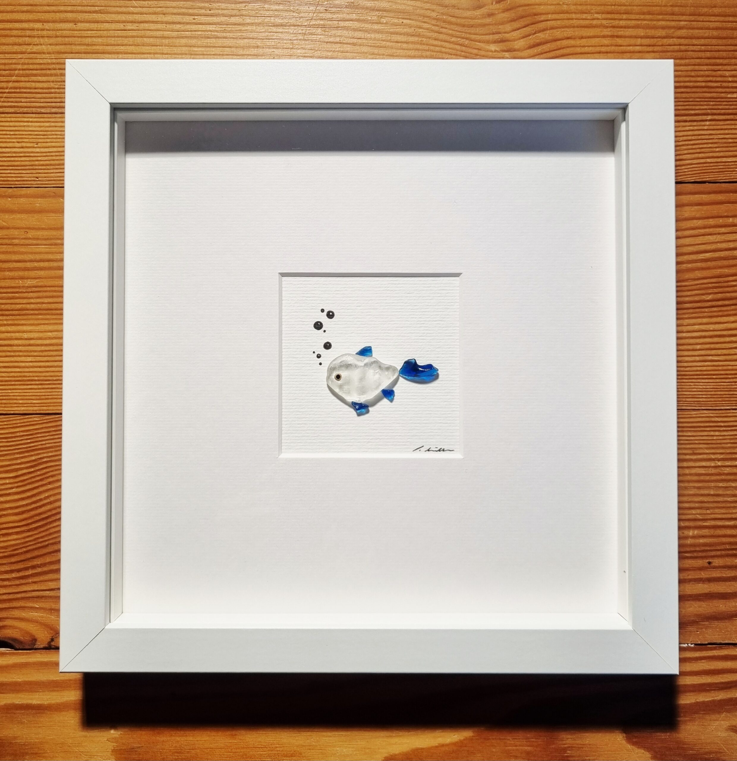 Blauer Doktorfisch – Bild 9